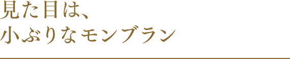 見た目は、小ぶりなモンブラン