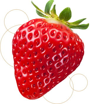 いちごを甘さを引き立たせるのは上品なこしあん大福