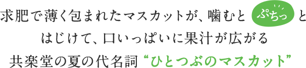 ひとつぶのマスカット