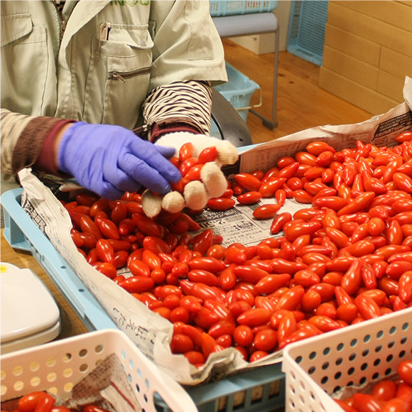 プリッとしたトマトの食感と求肥の程よい甘さでやみつきに！