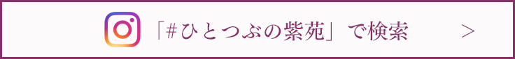 「＃ひとつぶの紫苑」で検索