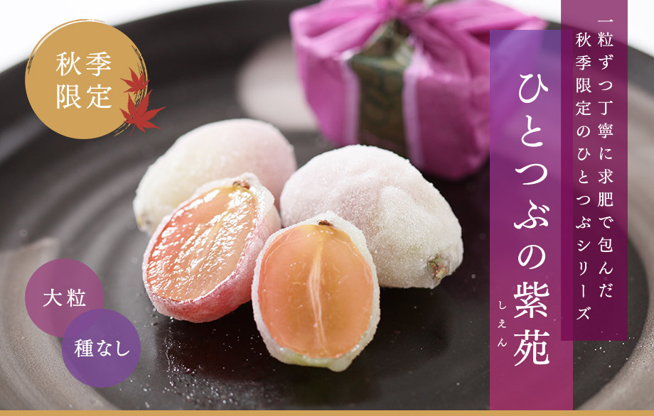 ひとつぶの紫苑（しえん）　一粒ずつ丁寧に求肥で包んだ秋季限定の一粒シリーズ