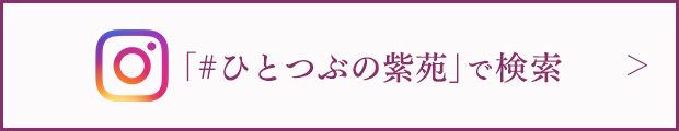 「＃ひとつぶの紫苑」で検索