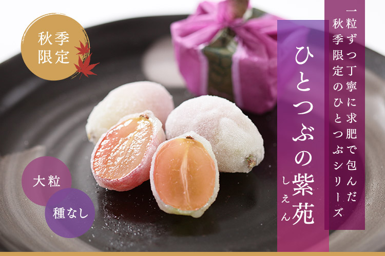 ひとつぶの紫苑（しえん）　一粒ずつ丁寧に求肥で包んだ秋季限定の一粒シリーズ