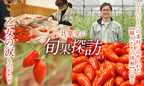 乙女の涙ものがたり