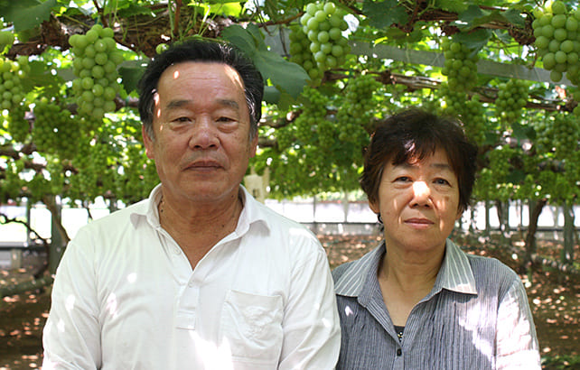 マスカット職人を訪ねて