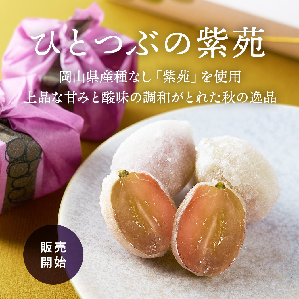 ひとつぶの紫苑(しえん)