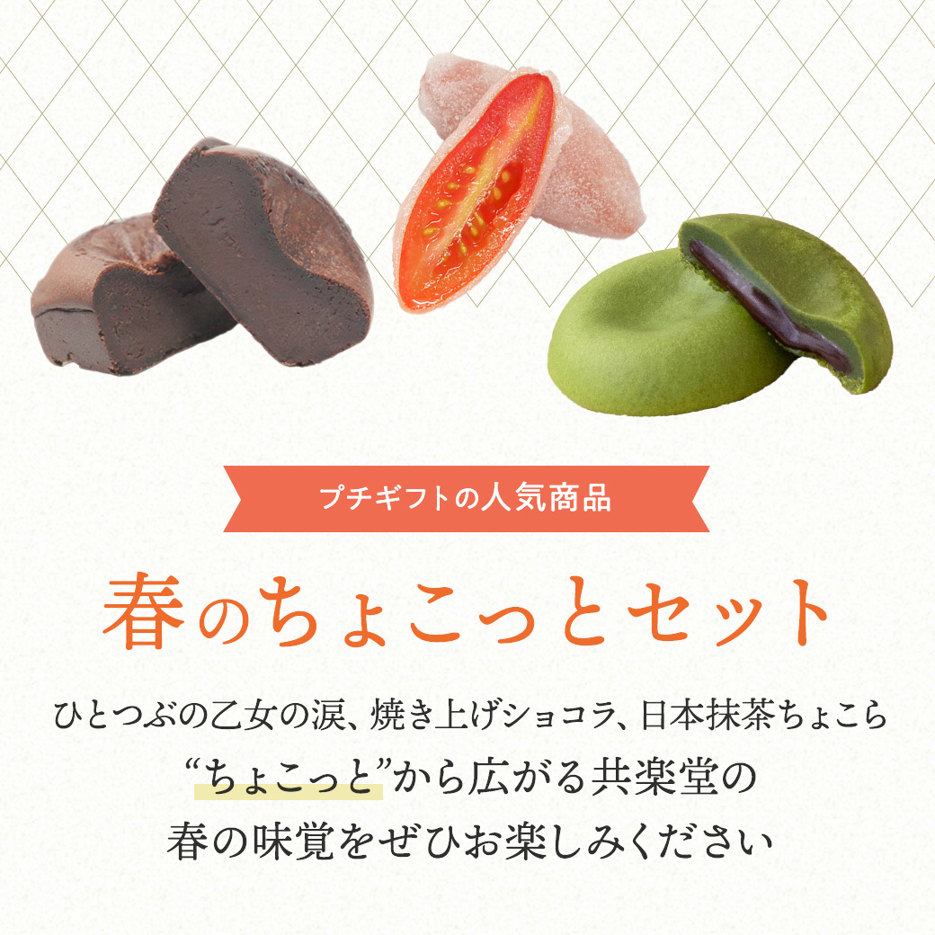 春のお試しセット