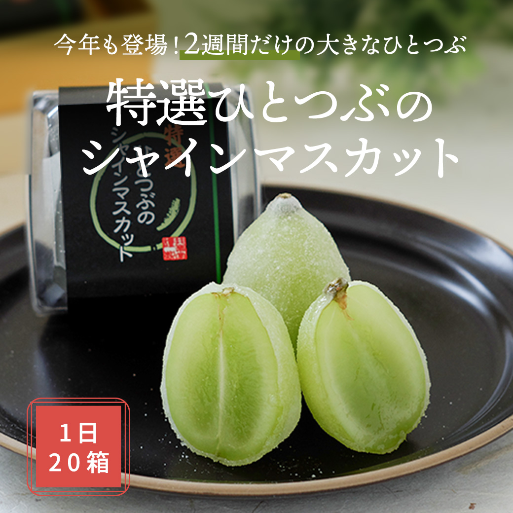 特選シャイン