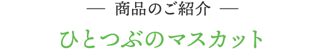 商品のご紹介