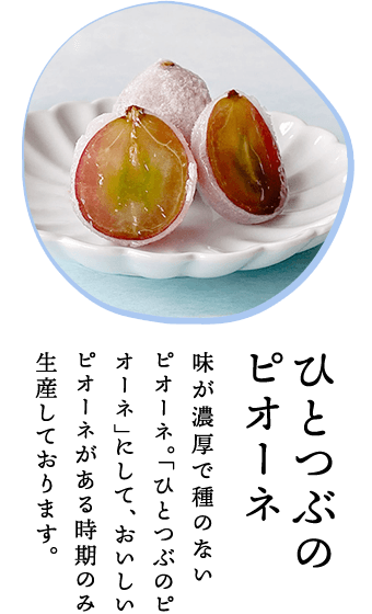 ひとつぶのピオーネ