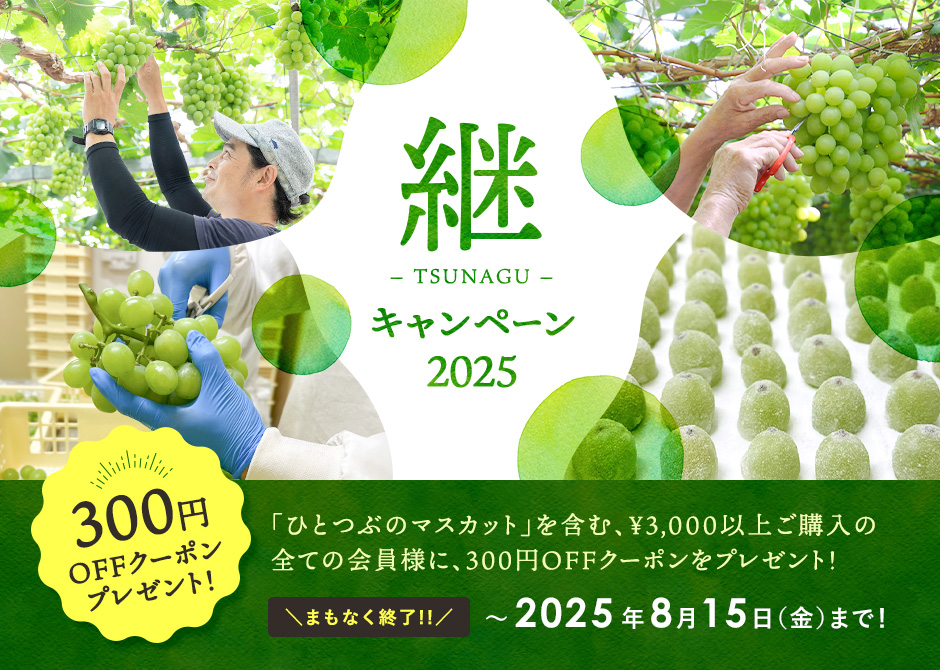 共楽堂の新春お年玉キャンペーン