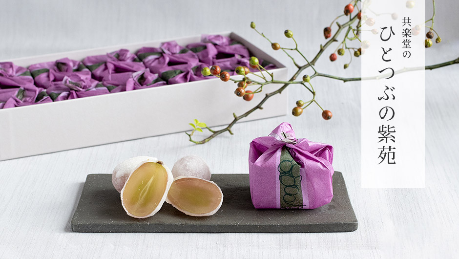 ひとつぶの紫苑