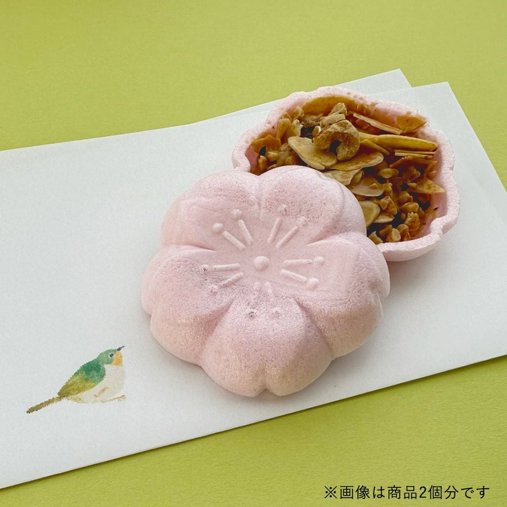 春のデザートプレート　さくらん咲くさくらりらA 咲く咲くさくらえん 4個入 | 旬果瞬菓（しゅんかしゅんか）共楽堂