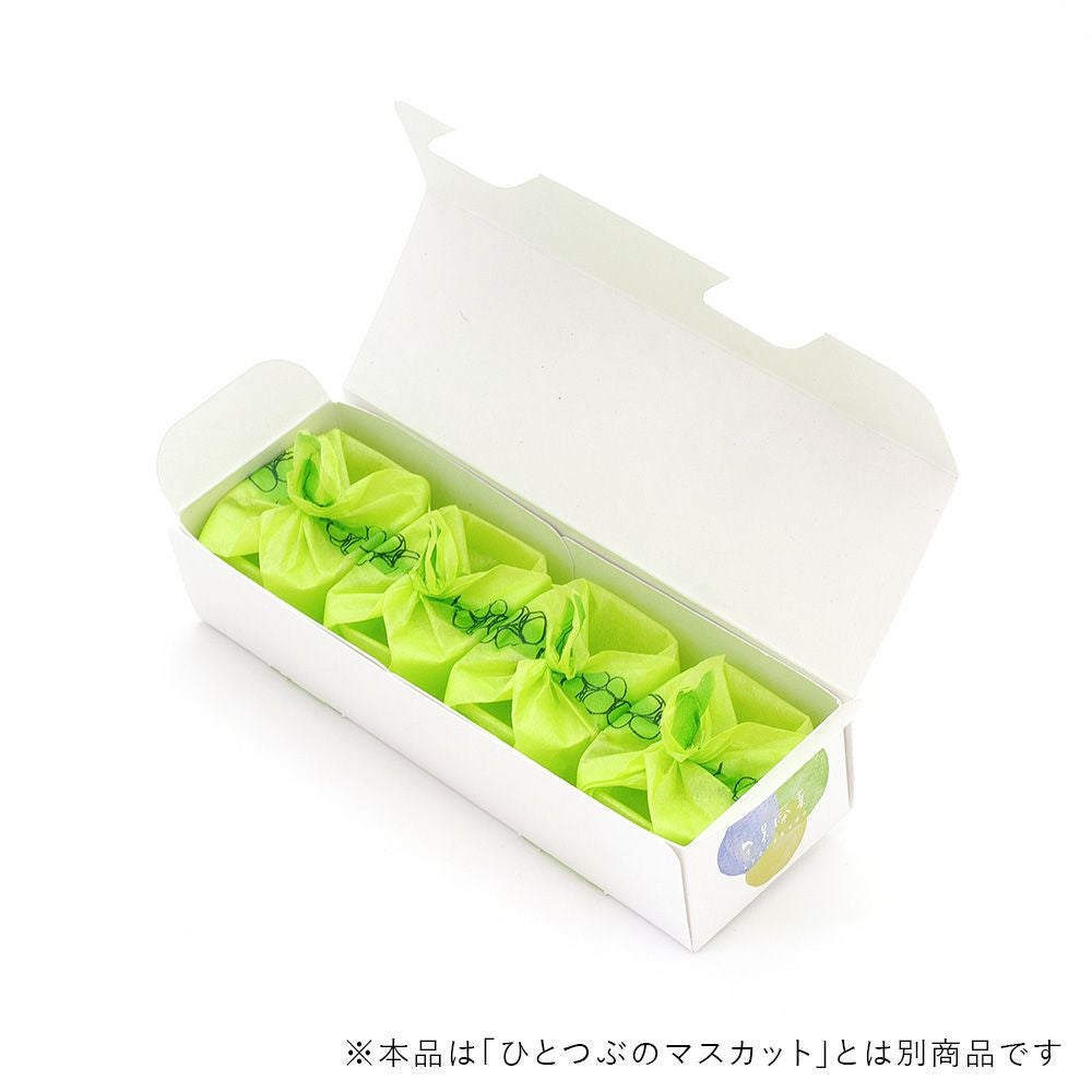 000000000491-01.jpg?size=m&w=