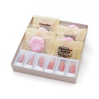 ひとつぶの乙女の涙・咲く咲くさくらえん・焼き上げショコラ詰合せ